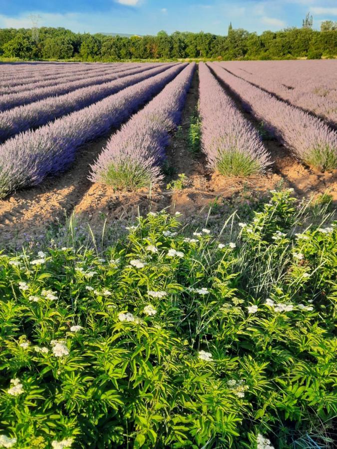 Rhone Studio Viviers ภายนอก รูปภาพ